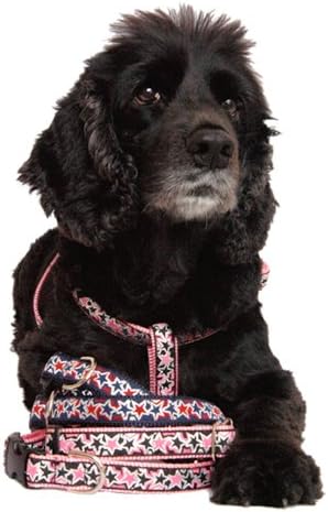Шлейка за домашни любимци: розово, черно и сребриста метална звездна лента в розов найлонов здрав кучешки шлейке за кученца, малки и