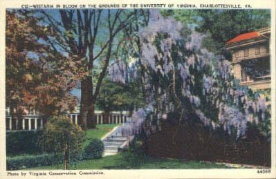 Пощенска картичка от Шарлоттсвилля, Вирджиния