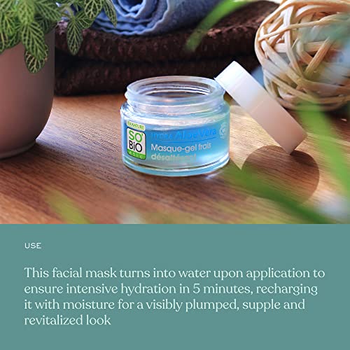So ' Bio Étic | Fresh Гел маска за Утоляване на жаждата | Органични Дълбоко Хидратиращ Маска за лице за суха и Комбинирана кожа | 1,69