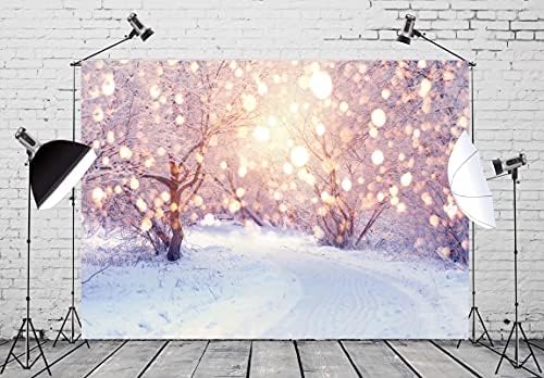 Loccor 10x8 фута на Фона на Зимната Страна на Чудесата, Блеснали от светлина, покрити със сняг Път, Дървета, Фон за Снимки, Коледа, Сватба,