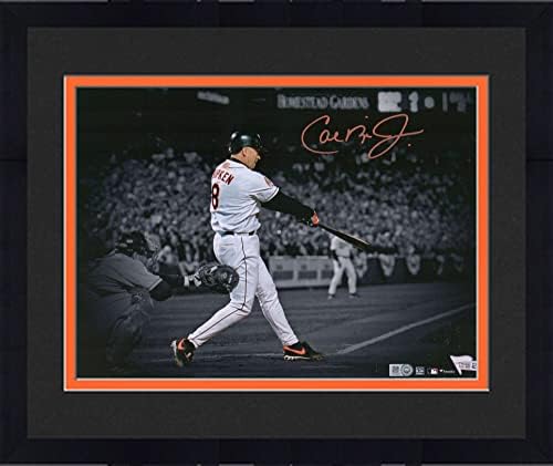 Снимка в рамка на Cal Рипкена-младши Балтимор Авлига с автограф от 11 x 14 В светлината на прожекторите - Снимки на MLB с автограф