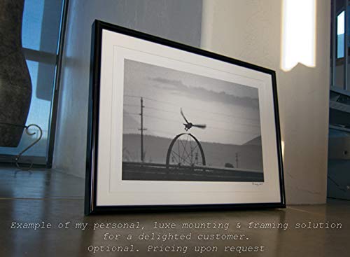Снимка на бухал с Летящей Совой в черно-бял цвят