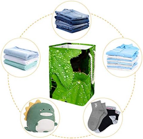 Кошница за дрехи MAPOLO Диво-Зелена с капки роса Сгъваема Кошница за съхранение на бельо с Дръжки Подвижни Скоби, добре задържа Влагата,